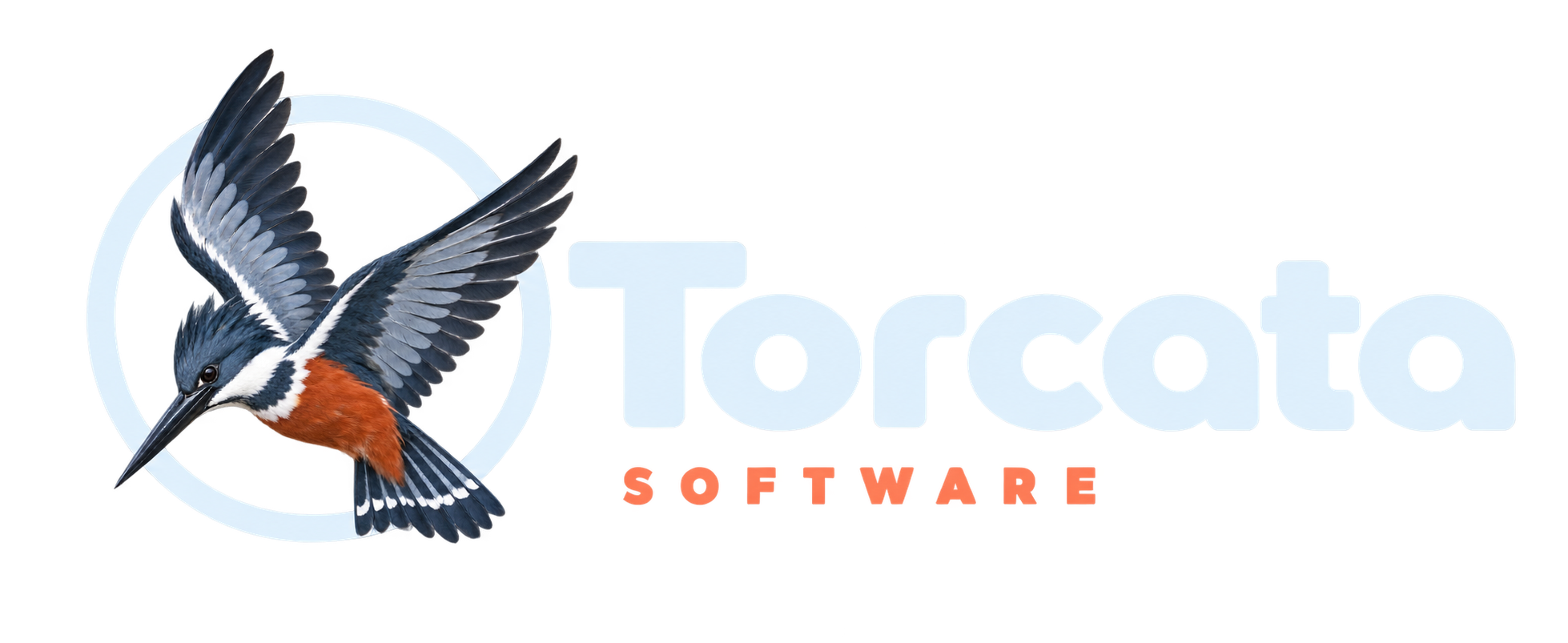 Torcata Software